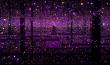 鏡屋宇宙，無邊的絢爛迷幻 ─「草間彌生：《無盡的房間》」倫敦泰特美術館登場